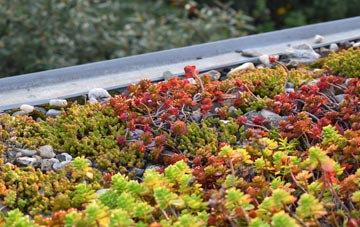 the cost of Henley On Thames green roof installation