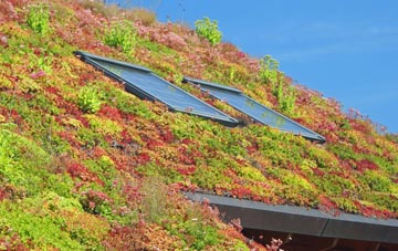 Henley On Thames living roof systems