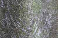 Henley On Thames fibreglass roof work